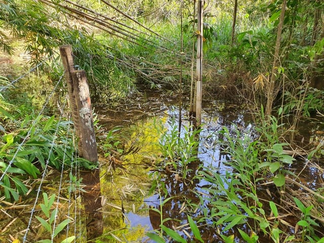 Chácara à venda, Villar Baviera, Abadia de Goiás, GO