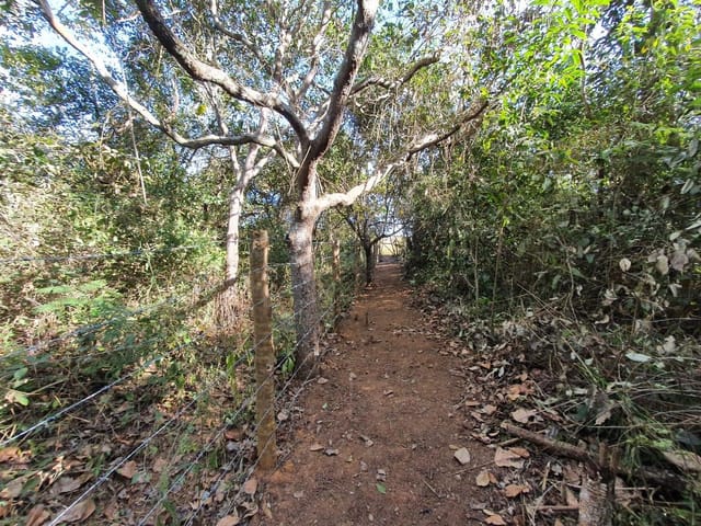 Chácara à venda, Villar Baviera, Abadia de Goiás, GO