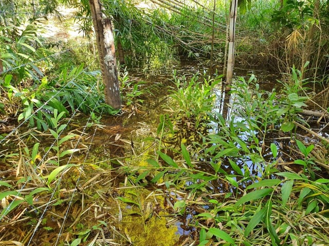 Chácara à venda, Villar Baviera, Abadia de Goiás, GO