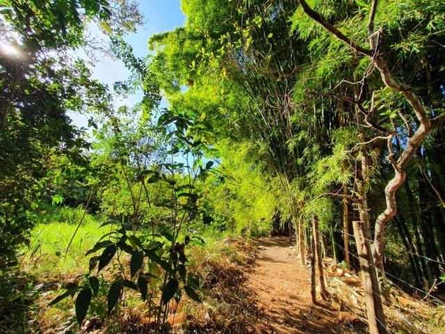 Chácara à venda, Villar Baviera, Abadia de Goiás, GO
