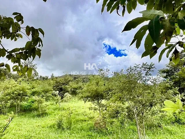 Chácara com 1000m², à venda, no bairro ÁREA RURAL em Pirenópolis