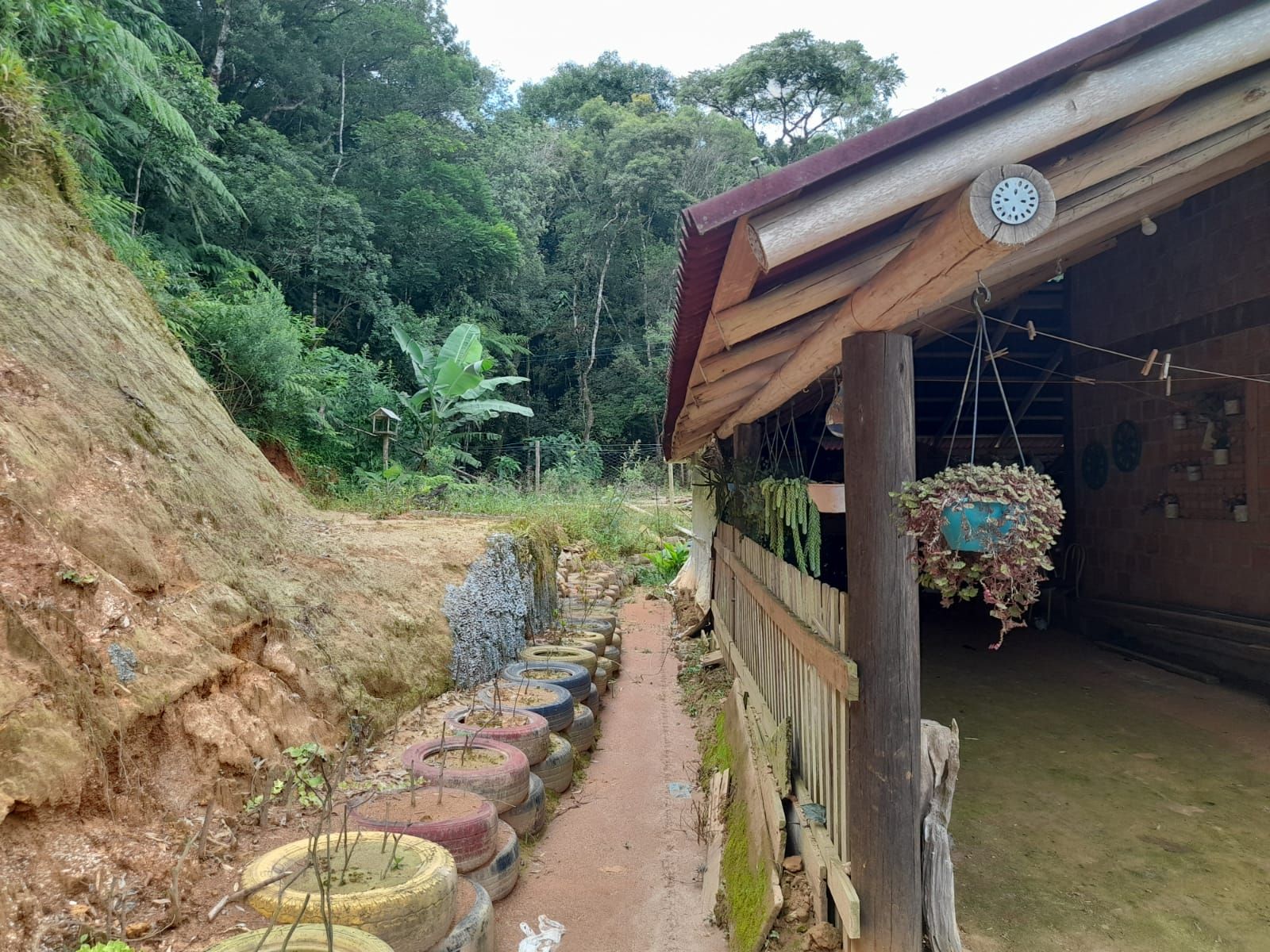 Chácara, 2 quartos, 2000 m² - Foto 5