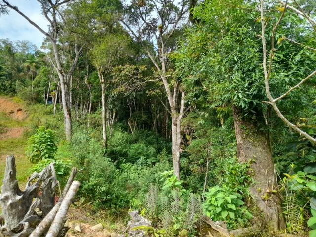 Chácara com 2000m² 2 quartos e 1 banheiro, à venda, no bairro Fazenda do Sacramento em Águas Mornas