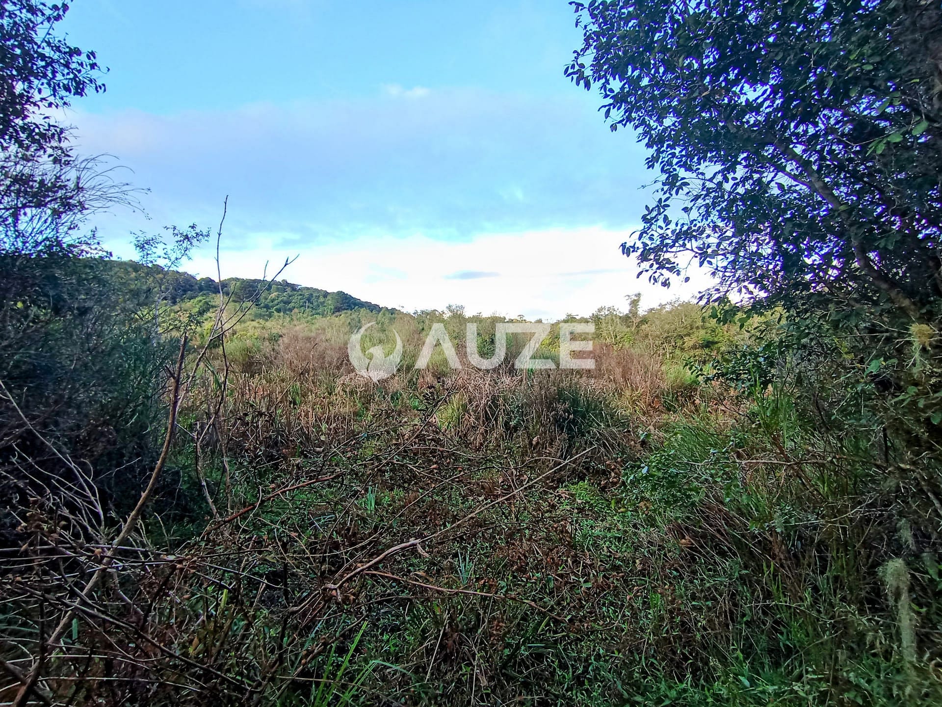 Chácara, 1 quarto, 2 hectares - Foto 6