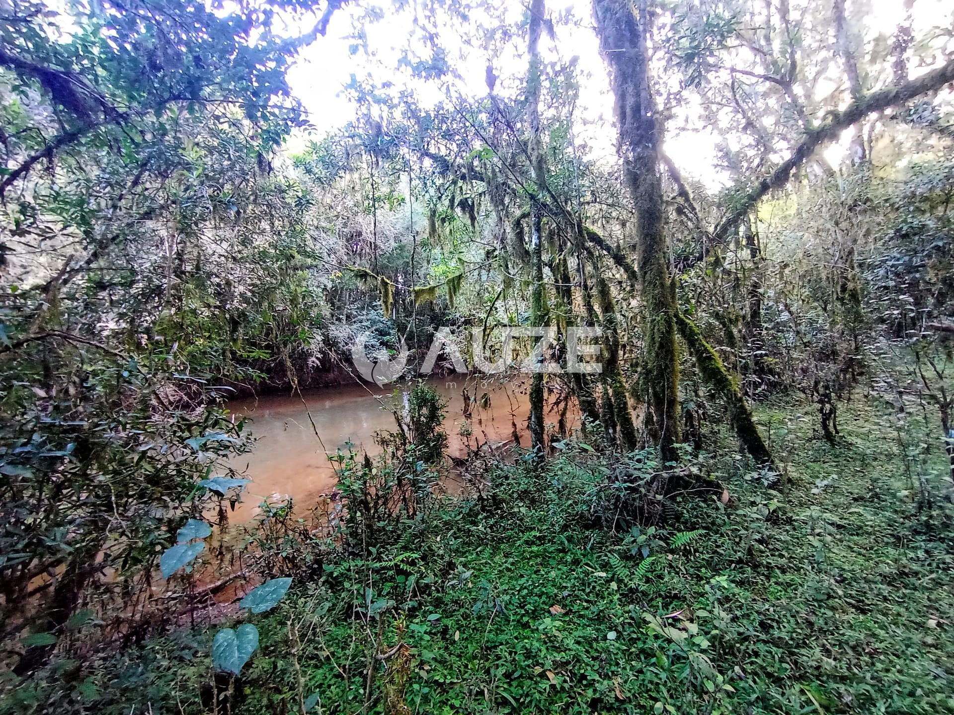 Chácara, 1 quarto, 2 hectares - Foto 3