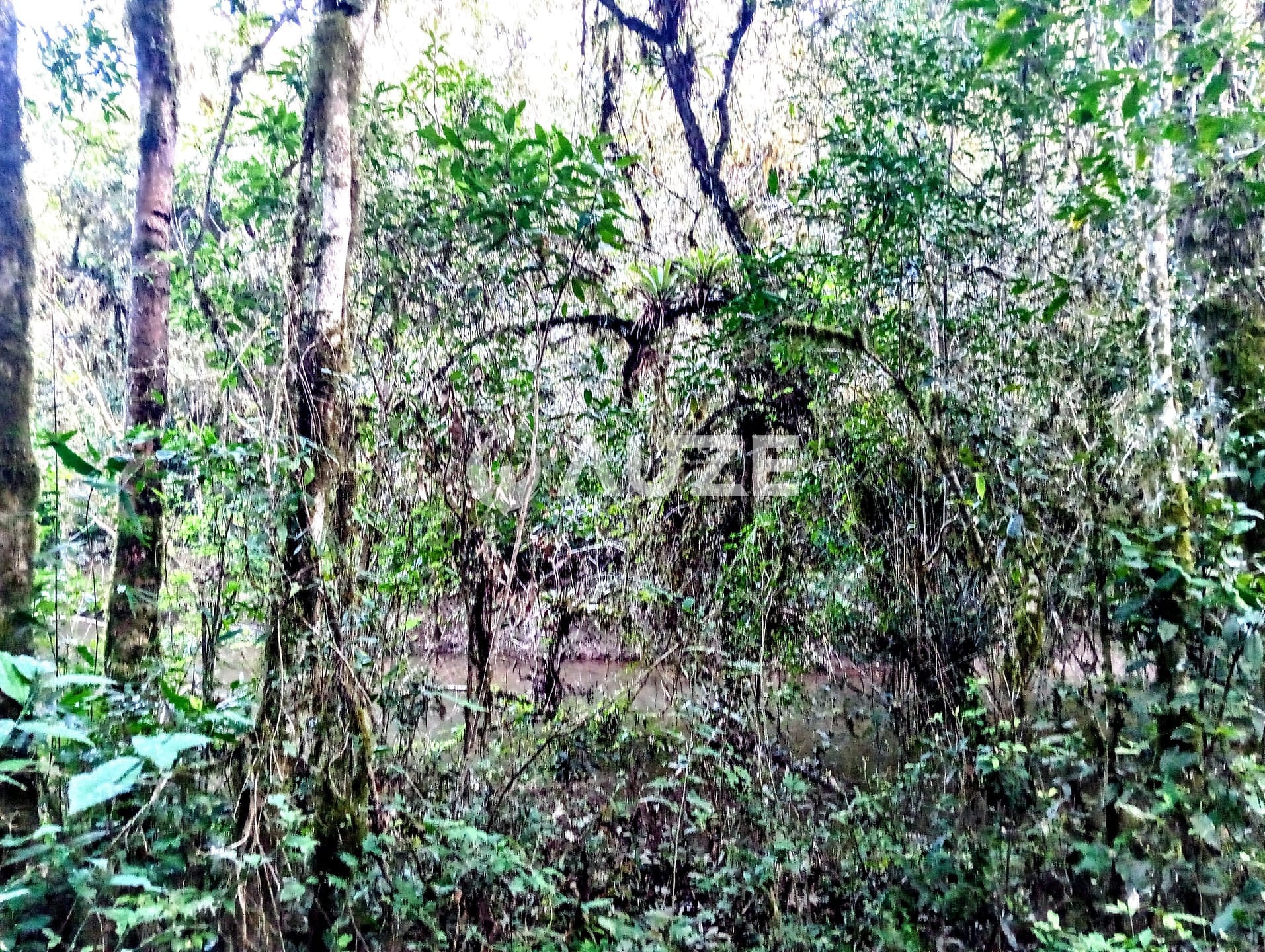 Chácara, 1 quarto, 2 hectares - Foto 4