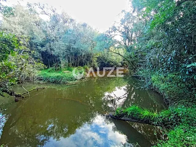 Chácara com 20302m², à venda, no bairro Colônia Murici em São José dos Pinhais