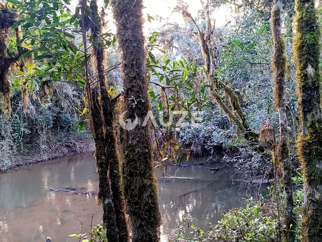 Chácara com 20302m², à venda, no bairro Colônia Murici em São José dos Pinhais