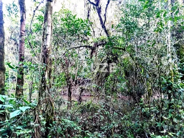Chácara com 20302m², à venda, no bairro Colônia Murici em São José dos Pinhais