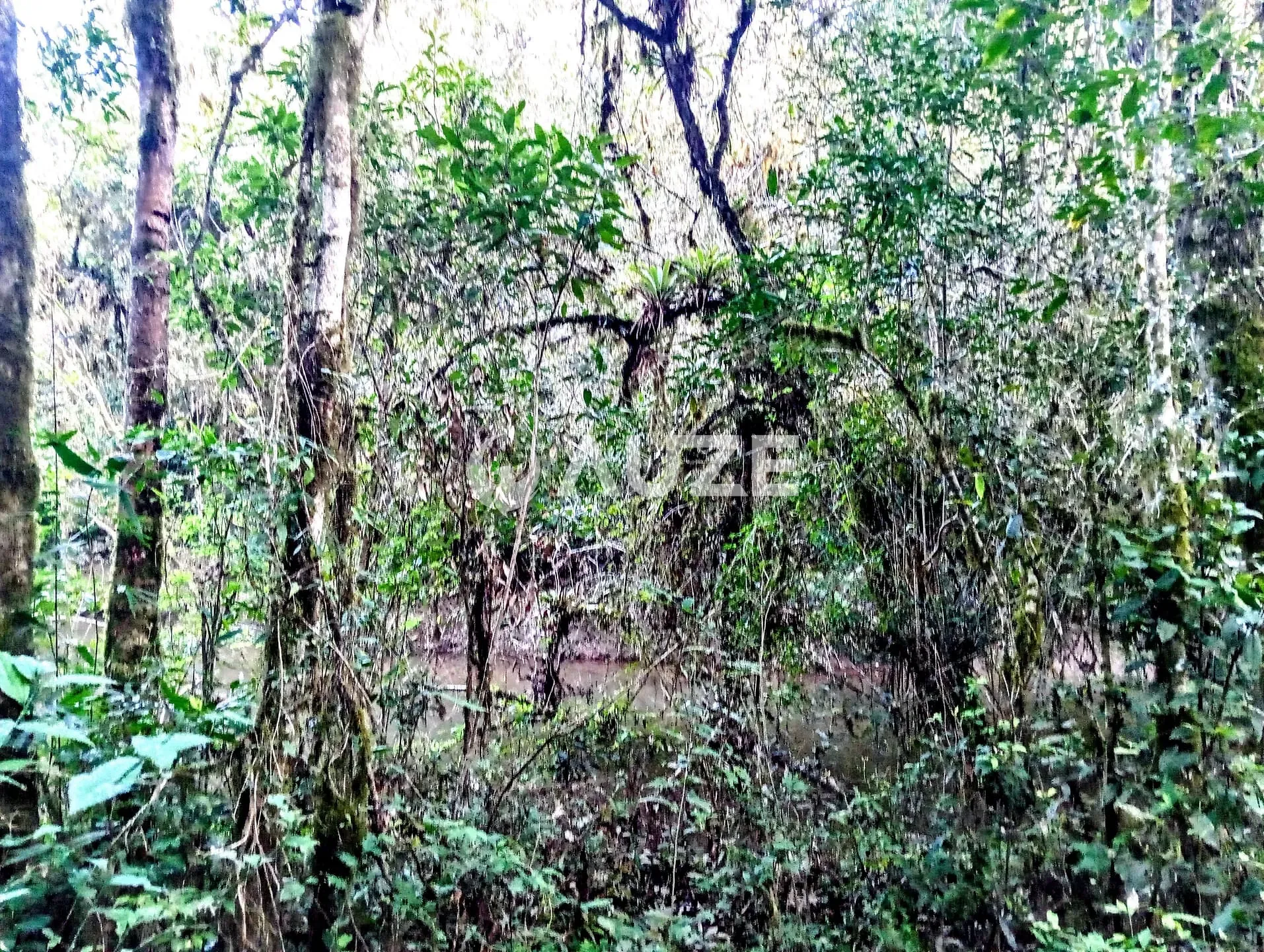 Chácara, 1 quarto, 2 hectares - Foto 4