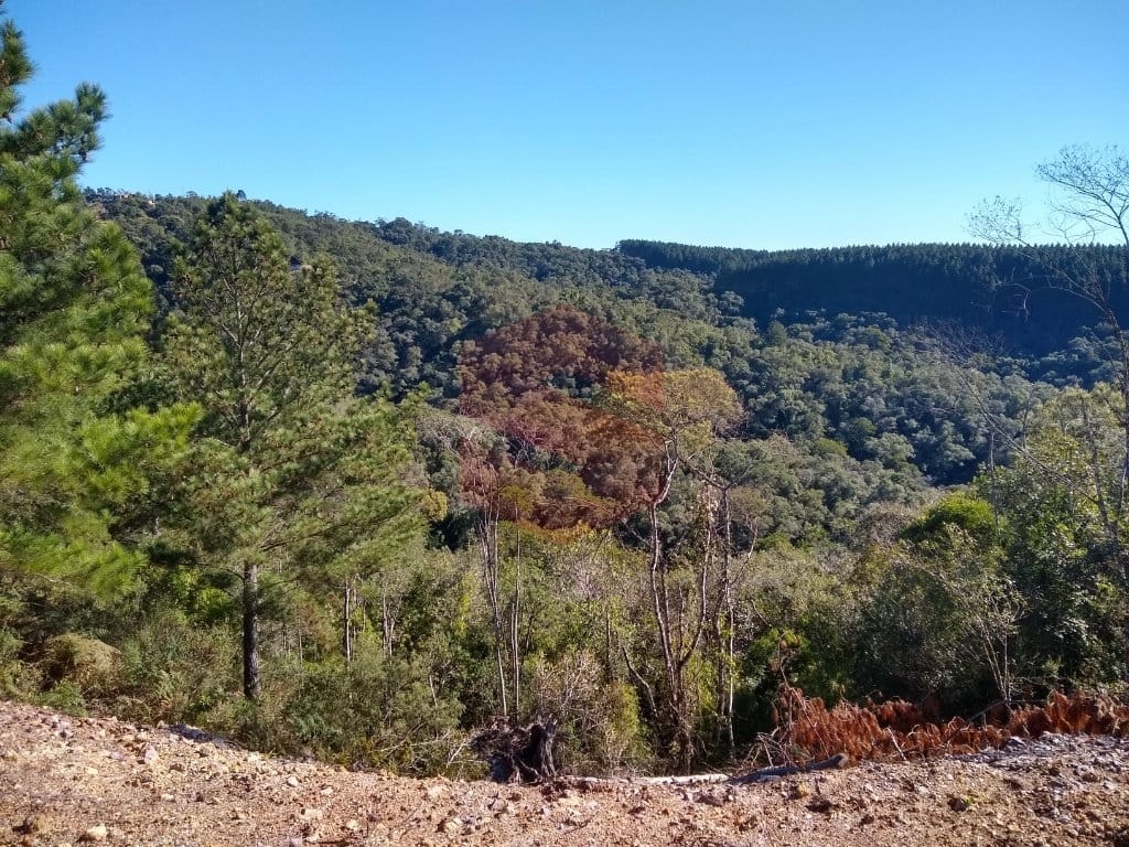 https://static.arboimoveis.com.br/CH0022_SLTI/area-para-formacao-de-chacara-itambezinho-campo-largo1627673083265ojekb.jpg