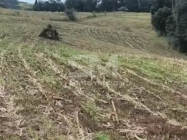 Chácara com 59200m² 3 quartos e 1 banheiro, à venda, no bairro Interior em Xaxim