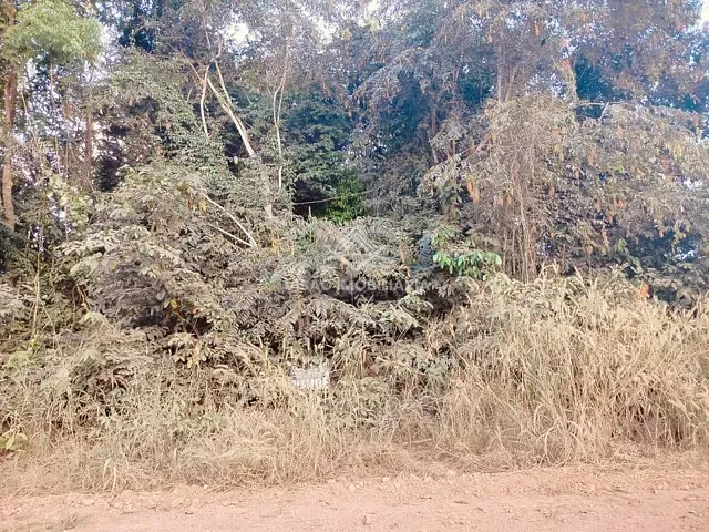 Chácara com 2400m², à venda, no bairro Área Rural de Sinop em Sinop