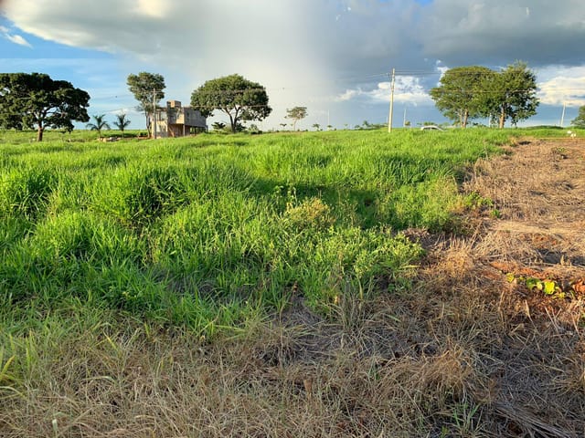 Chácara à venda, Residencial Terra Santa, Trindade, GO