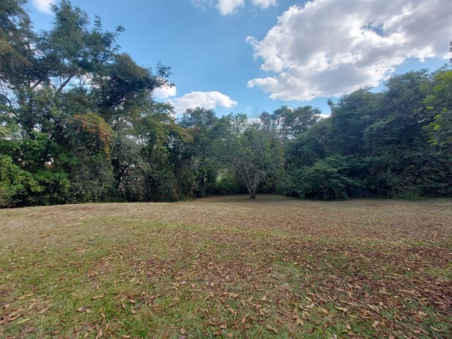 Chácara com 1500m², à venda, no bairro Colônia Dona Luíza em Ponta Grossa