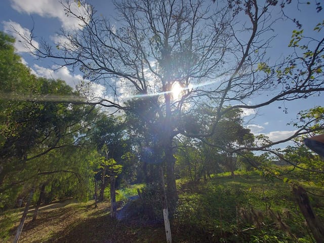 Chácara com 1500m², à venda, no bairro Colônia Dona Luíza em Ponta Grossa