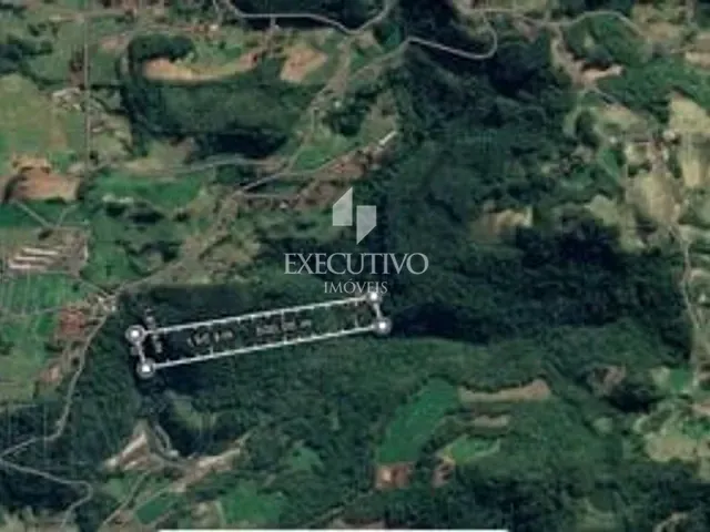 Terreno com 91000m², à venda, no bairro Picada Arroio do Meio em Arroio Do Meio
