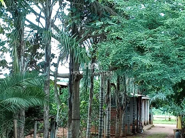 Chácara com 1380m² 3 quartos e 2 banheiros, à venda, no bairro rural em Caturaí