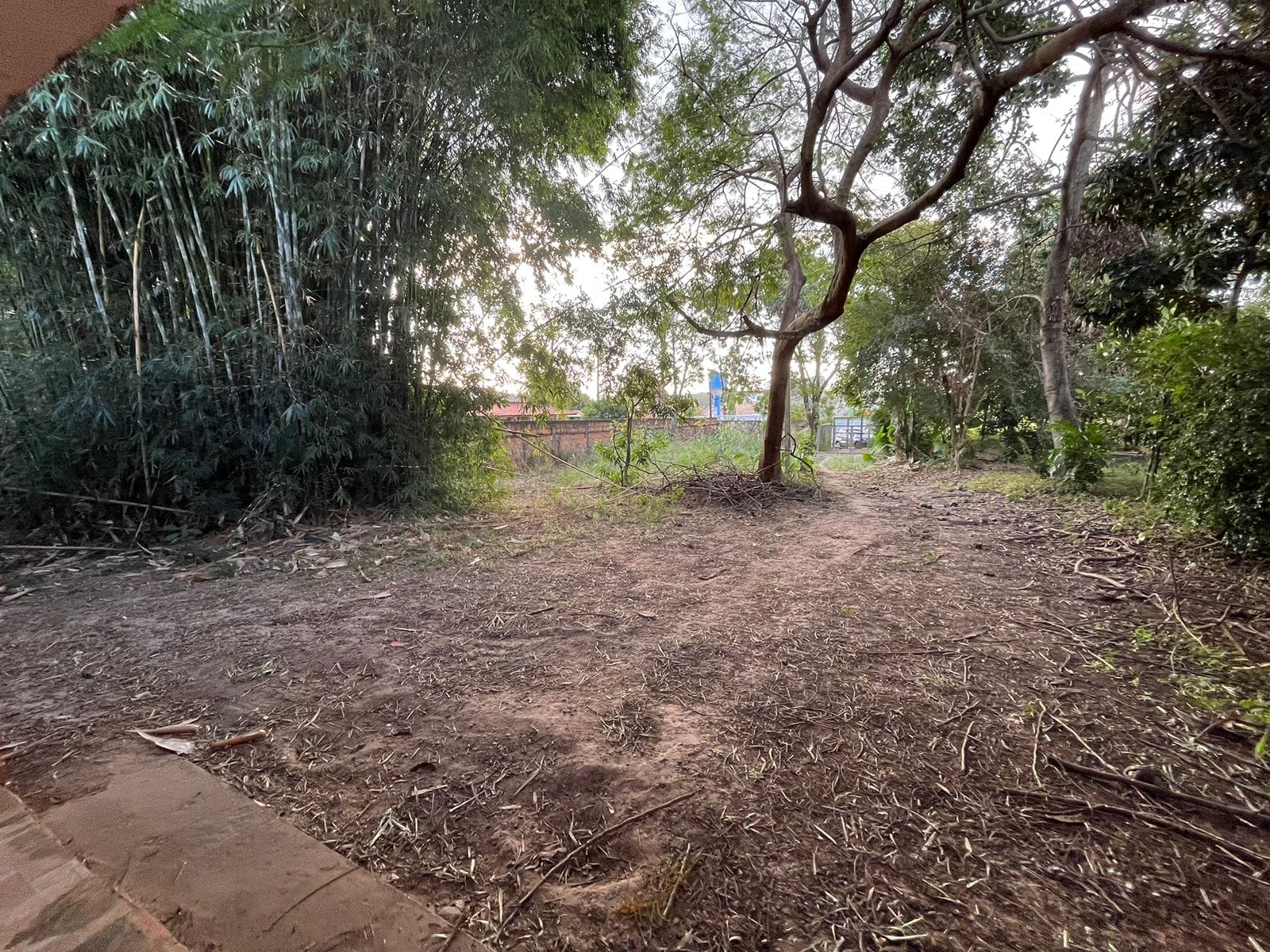 Chácara à venda com 4 quartos, 150m² - Foto 4