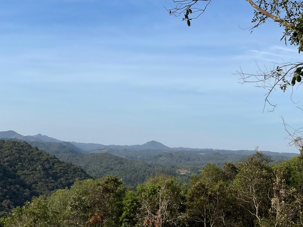 https://static.arboimoveis.com.br/CH0023_SLTI/chacaraavendafaxinacampolargopr_1630073185037.jpg
