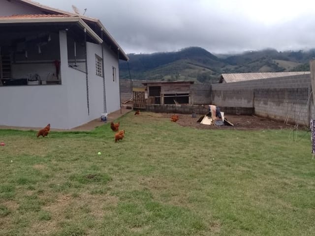 Chácara com 1000m² 2 quartos e 2 banheiros, à venda, no bairro Bairro dos Rosas em Cambuí