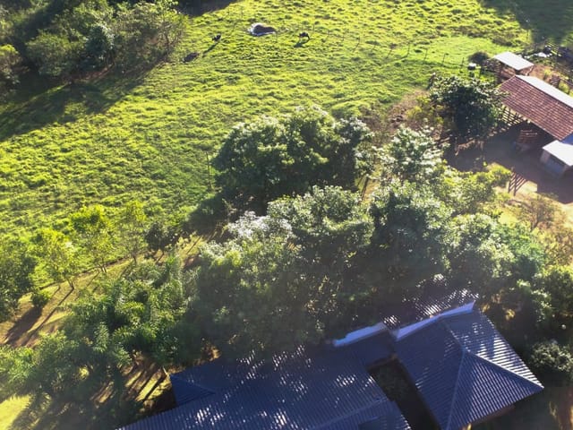 Chácara com 84000m² 4 quartos e 3 banheiros, à venda, no bairro Setor Central em Nova Veneza