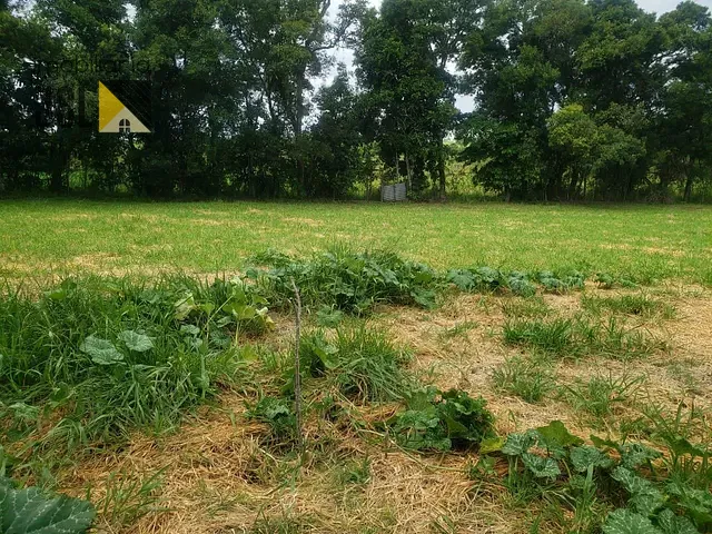 Chácara com 3000m², à venda, no bairro Chácaras Nogueira em Caçapava