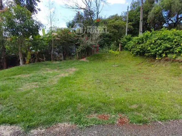 Chácara com 3396m² 2 quartos e 1 banheiro, à venda, no bairro Limoeiro em Londrina