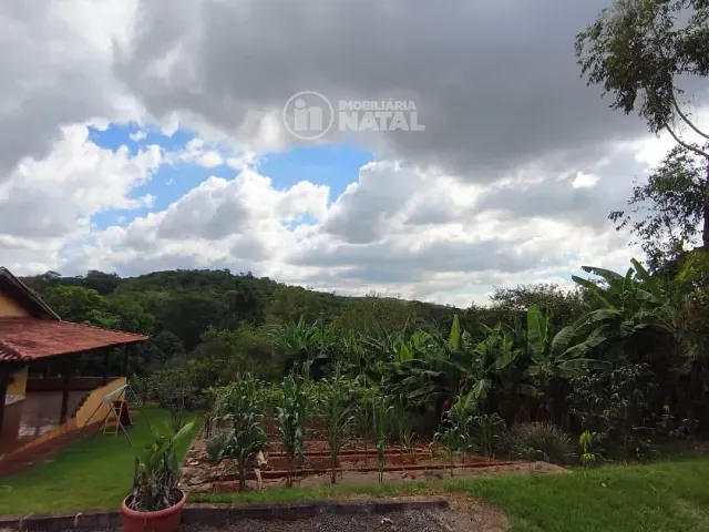 Chácara com 3396m² 2 quartos e 1 banheiro, à venda, no bairro Limoeiro em Londrina