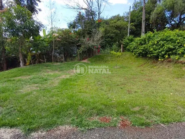 Chácara com 3396m² 2 quartos e 1 banheiro, para alugar, no bairro Limoeiro em Londrina