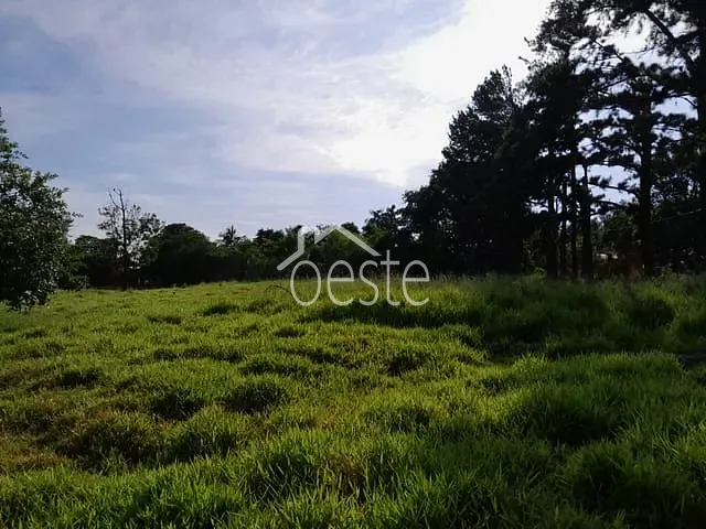 Chácara com 8000m² 1 quarto e 1 banheiro, para alugar, no bairro Jardim Santa Alice em Santa Bárbara D'Oeste