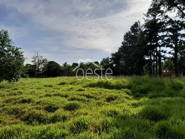 Chácara com 8000m² 1 quarto e 1 banheiro, para alugar, no bairro Jardim Santa Alice em Santa Bárbara D'Oeste