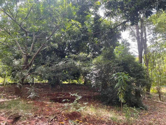 Chácara com 17538m², à venda, no bairro Sítio de Recreio Ipê em Goiânia