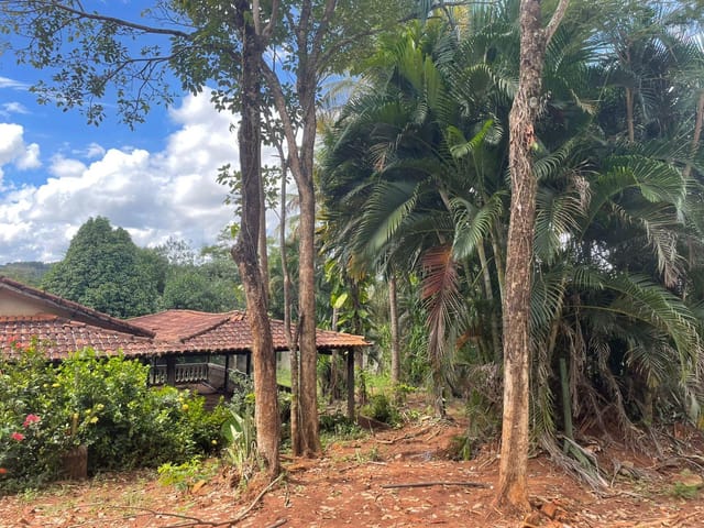 Chácara com 17538m², à venda, no bairro Sítio de Recreio Ipê em Goiânia