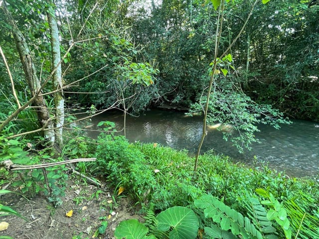 Chácara à venda, Rural, Aragoiânia, GO