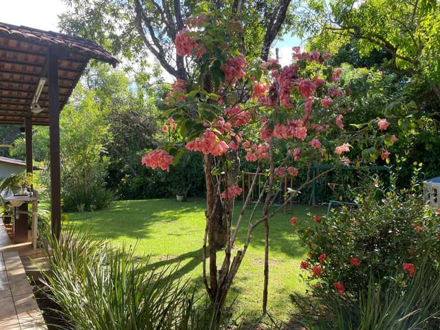 Chácara à venda, Rural, Aragoiânia, GO