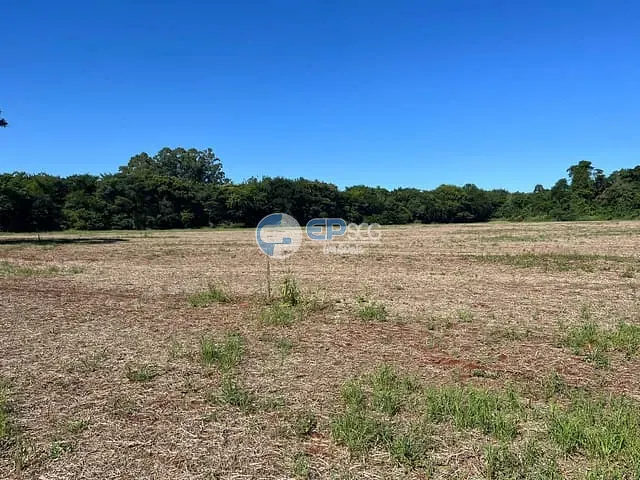 Terreno com 2000m², à venda, no bairro Eucaliptos em Londrina
