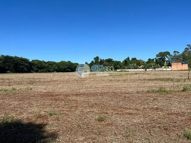 Terreno com 2000m², à venda, no bairro Eucaliptos em Londrina