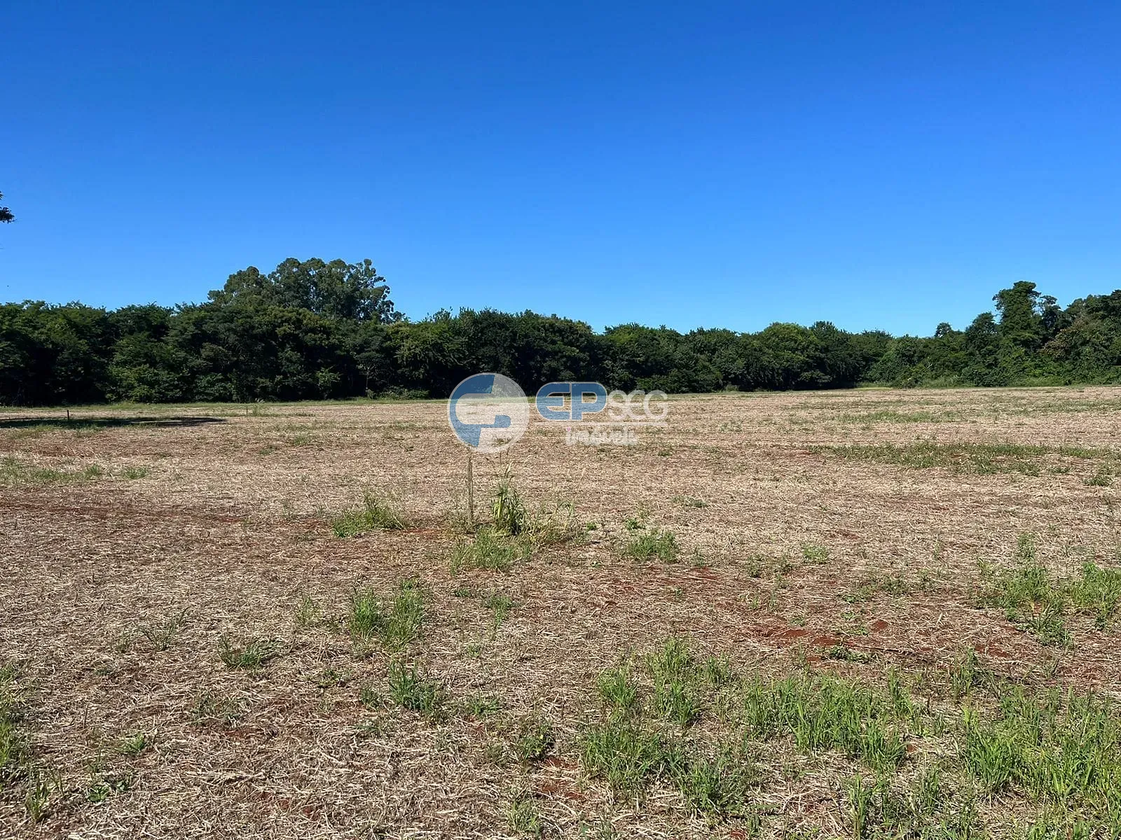 Terreno, 2000 m² - Foto 5