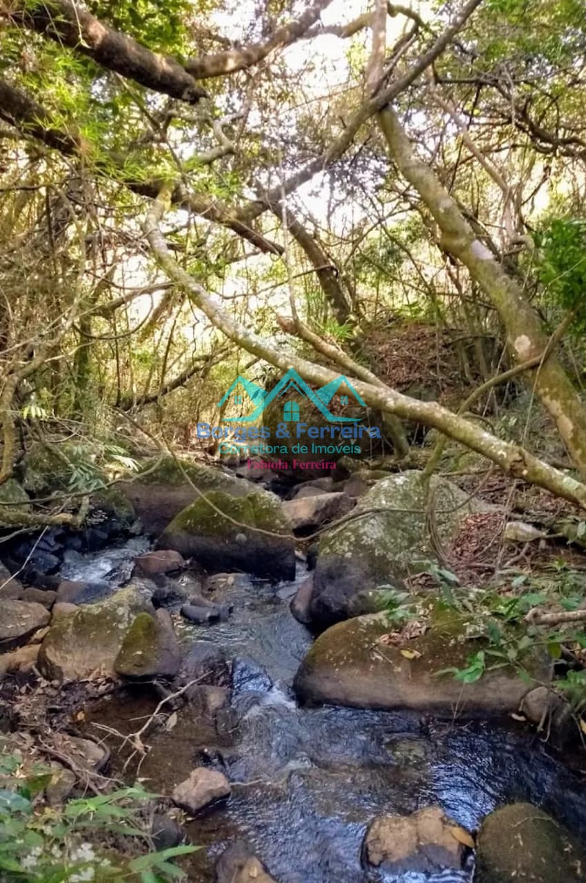 Chácara, 2 quartos, 3000 m² - Foto 36