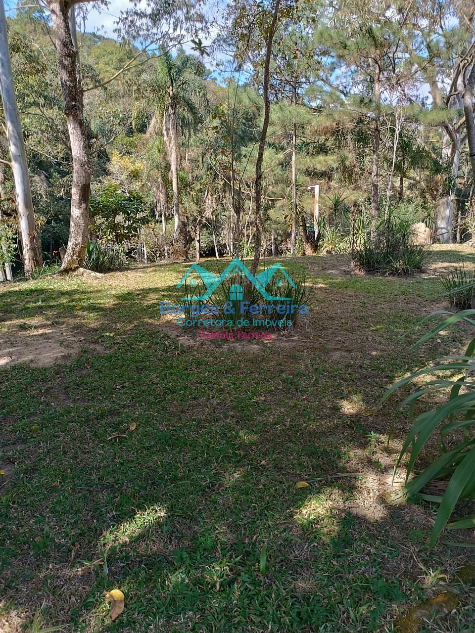 Chácara, 2 quartos, 3000 m² - Foto 7