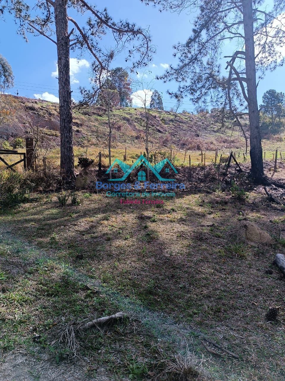 Chácara, 2 quartos, 3000 m² - Foto 17