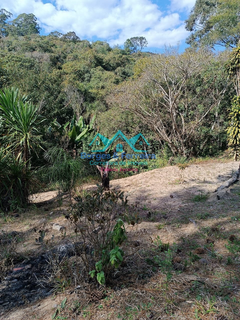 Chácara, 2 quartos, 3000 m² - Foto 12