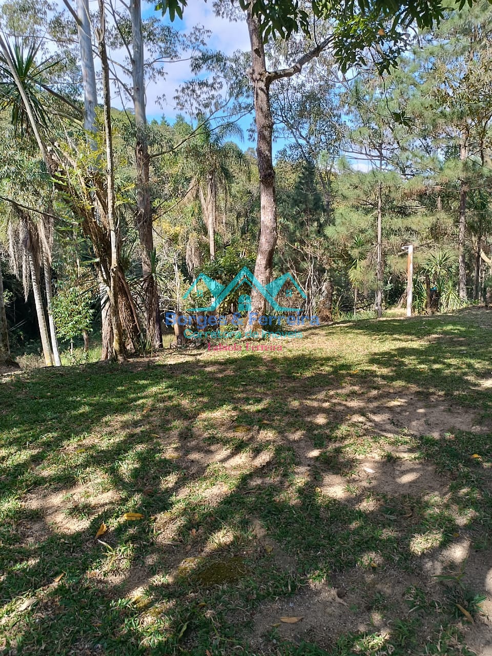 Chácara, 2 quartos, 3000 m² - Foto 11