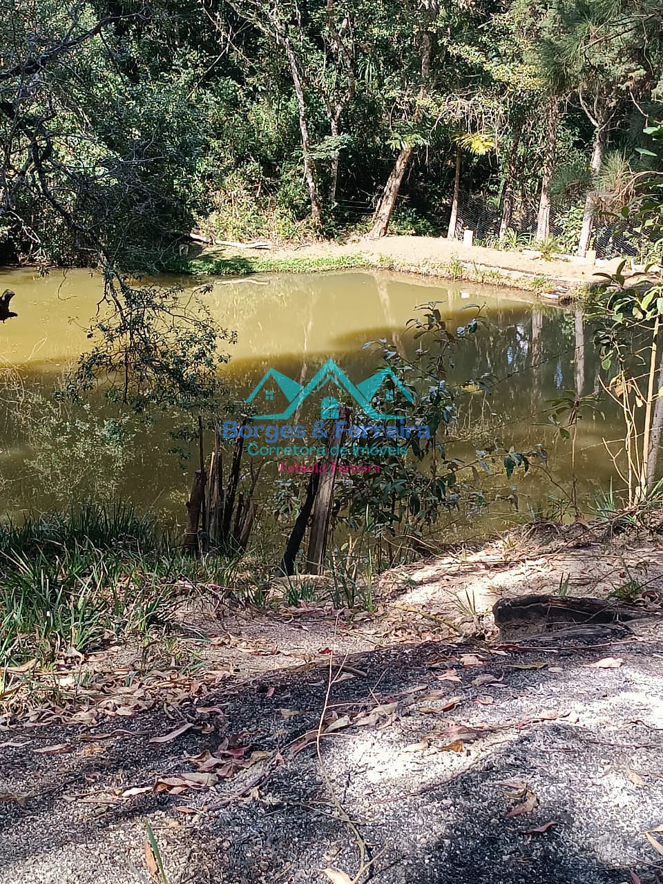 Chácara, 2 quartos, 3000 m² - Foto 9