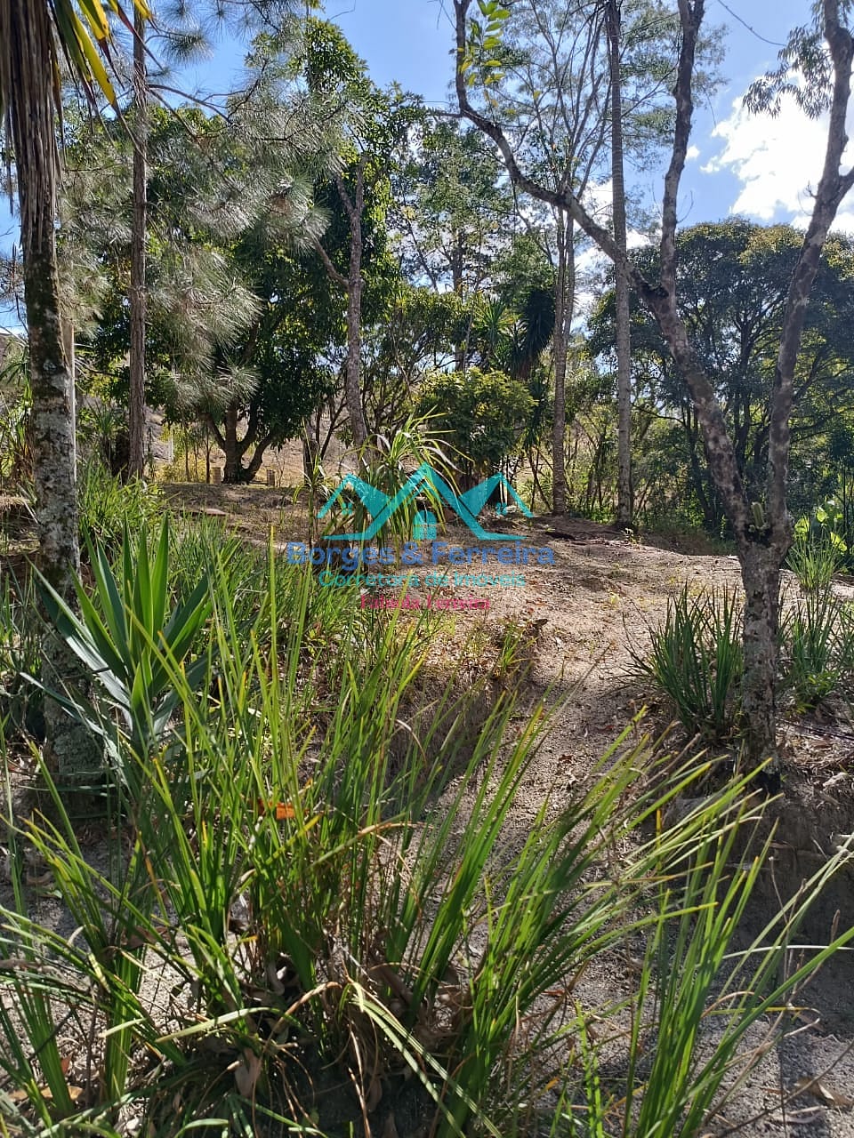 Chácara, 2 quartos, 3000 m² - Foto 22