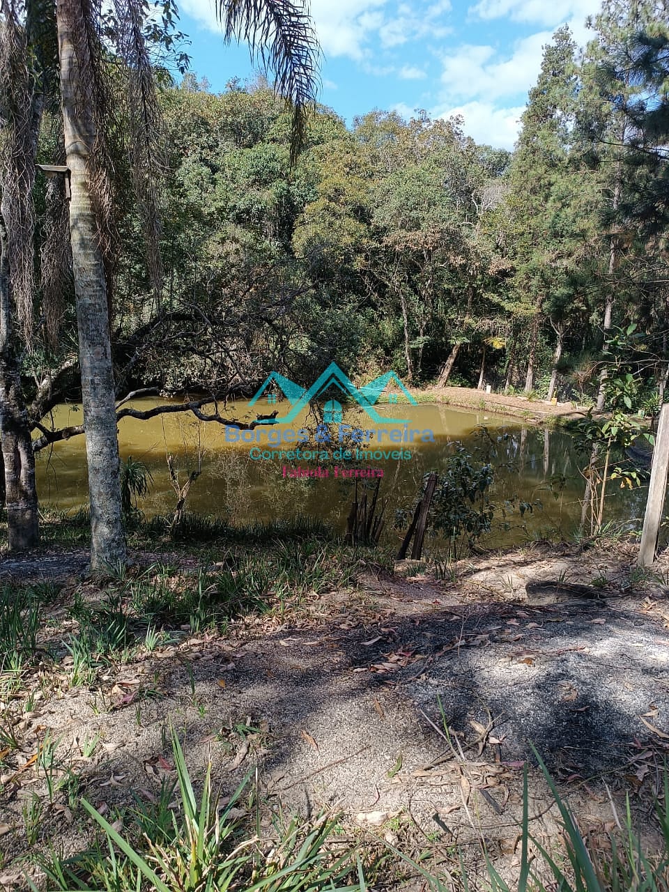 Chácara, 2 quartos, 3000 m² - Foto 20