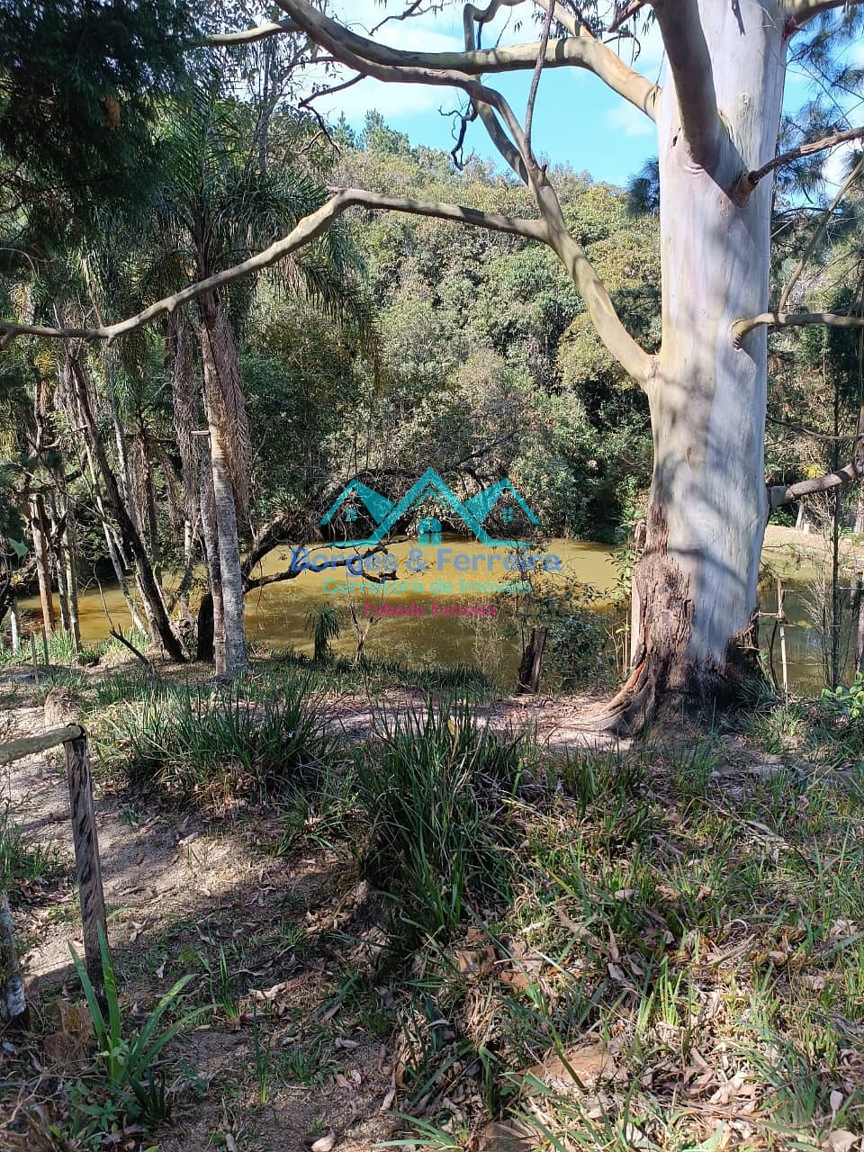 Chácara, 2 quartos, 3000 m² - Foto 10