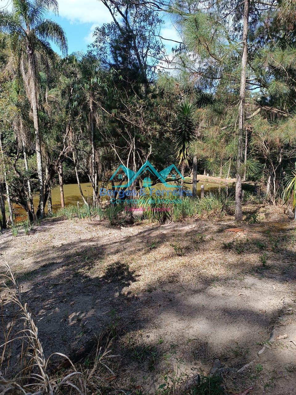 Chácara, 2 quartos, 3000 m² - Foto 21