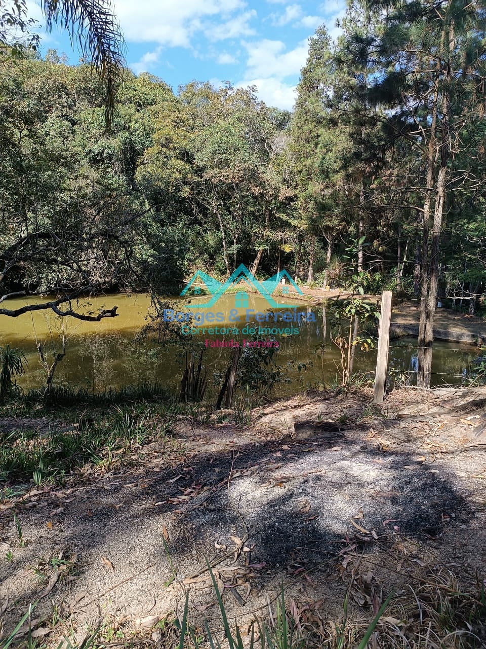 Chácara, 2 quartos, 3000 m² - Foto 16